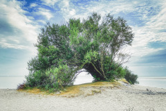 Oudemirdumer-Klif