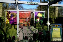 Keukenhof inspiratietuinen MiriamvanDunFoto