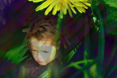 Lentebloem voor Keukenhof MiriamvanDunFoto
