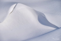 Sneeuwvorm