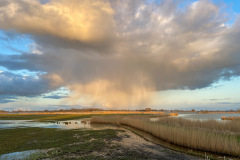 Sneekermeer