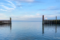 Haven van Yerseke