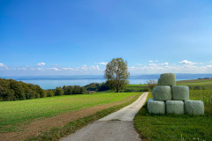 Meer-van-Neuchatel