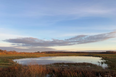 Fochtelooerveen