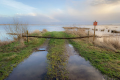 Sneekermeer