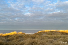 Hargen-aan-Zee-ter-hoogte-van-natuurgebied-De-Putten-