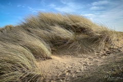 Meyendel-Wassenaar