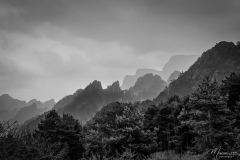 Pirineu