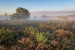 Zonsopkomst-op-de-Westerheide