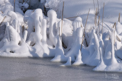 Sneeuwlandschap