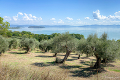 Toscane Italie